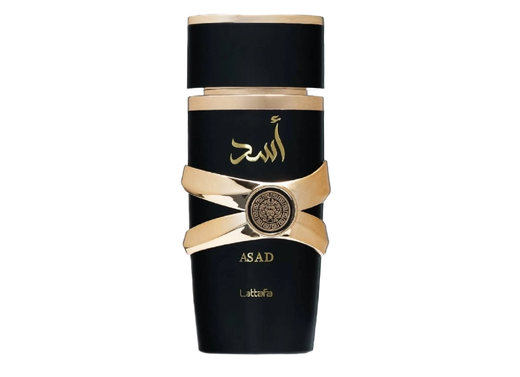 Men's Arabic perfume collection