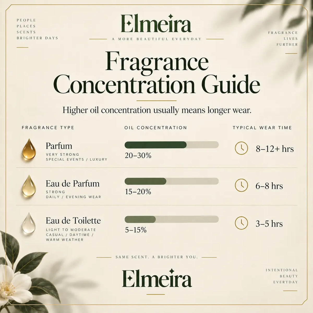 Elmeira fragrance concentration guide — Parfum, Eau de Parfum and Eau de Toilette oil concentration and typical wear time